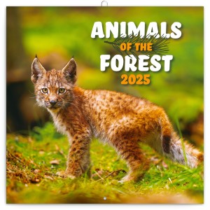 Lemeznaptr Animals of the Forest 2024, 30  30 cm (naptr)