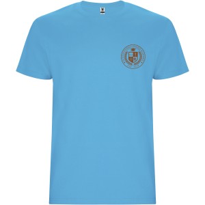 Roly Stafford frfi pamutpl, Turquois (T-shirt, pl, 90-100% pamut)